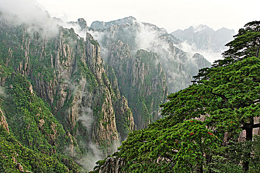 麦克奈因在哪里买得到C1B8D97C5-18975